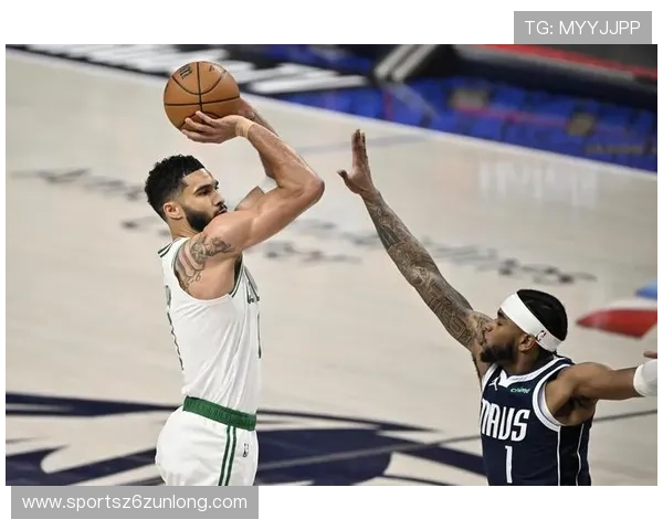 尊龙体育下载：用户评价与使用体验分享帮助你做出选择